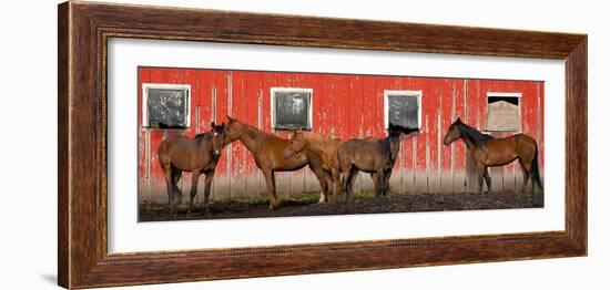 USA, Washington State, Palouse. Panoramic of horses next to red barn.-Jaynes Gallery-Framed Photographic Print