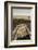 USA, Washington State, Palouse, Railroad, tracks-George Theodore-Framed Photographic Print