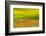 USA, Washington State, Palouse red poppies and yellow canola with landscape of wheat fields-Sylvia Gulin-Framed Photographic Print