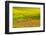 USA, Washington State, Palouse red poppies and yellow canola with landscape of wheat fields-Sylvia Gulin-Framed Photographic Print