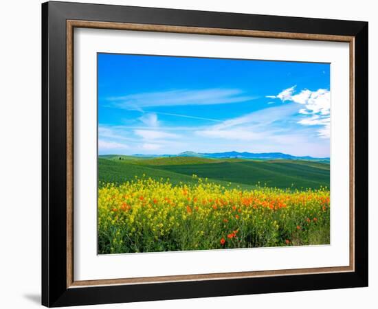 USA, Washington State, Palouse red poppies and yellow canola with landscape of wheat fields-Sylvia Gulin-Framed Photographic Print