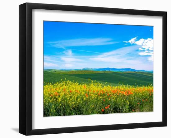 USA, Washington State, Palouse red poppies and yellow canola with landscape of wheat fields-Sylvia Gulin-Framed Photographic Print