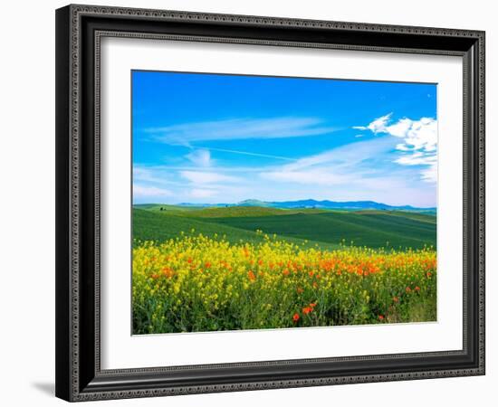 USA, Washington State, Palouse red poppies and yellow canola with landscape of wheat fields-Sylvia Gulin-Framed Photographic Print