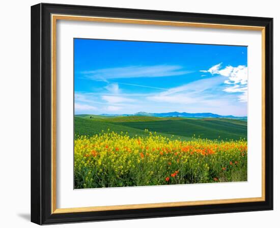 USA, Washington State, Palouse red poppies and yellow canola with landscape of wheat fields-Sylvia Gulin-Framed Photographic Print