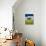 USA, Washington State, Palouse Region. Lone old oak tree in wheat field-Terry Eggers-Photographic Print displayed on a wall