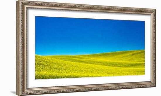 USA, Washington State, Palouse Region. Spring Canola field-Terry Eggers-Framed Photographic Print