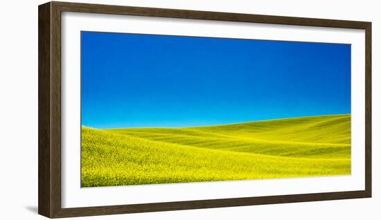 USA, Washington State, Palouse Region. Spring Canola field-Terry Eggers-Framed Photographic Print