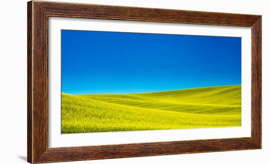 USA, Washington State, Palouse Region. Spring Canola field-Terry Eggers-Framed Photographic Print