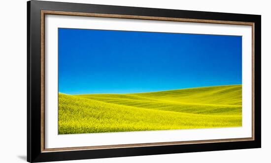 USA, Washington State, Palouse Region. Spring Canola field-Terry Eggers-Framed Photographic Print