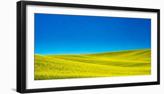 USA, Washington State, Palouse Region. Spring Canola field-Terry Eggers-Framed Photographic Print