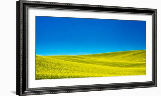 USA, Washington State, Palouse Region. Spring Canola field-Terry Eggers-Framed Photographic Print