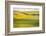 USA, Washington State. Palouse Valley, fields of yellow mustard and other crops.-Alison Jones-Framed Photographic Print