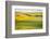 USA, Washington State. Palouse Valley, fields of yellow mustard and other crops.-Alison Jones-Framed Photographic Print