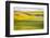 USA, Washington State. Palouse Valley, fields of yellow mustard and other crops.-Alison Jones-Framed Photographic Print