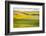 USA, Washington State. Palouse Valley, fields of yellow mustard and other crops.-Alison Jones-Framed Photographic Print