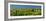 USA, Washington State. Panorama of fence line and wildflowers-Terry Eggers-Framed Photographic Print