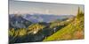 USA. Washington State. Panorama of Mt. Adams, Goat Rocks and Double Peak-Gary Luhm-Mounted Photographic Print