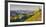 USA. Washington State. Panorama of Mt. Adams, Goat Rocks and Double Peak-Gary Luhm-Framed Photographic Print