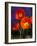 USA, Washington State, Poppies on Display-Terry Eggers-Framed Photographic Print