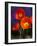 USA, Washington State, Poppies on Display-Terry Eggers-Framed Photographic Print