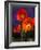 USA, Washington State, Poppies on Display-Terry Eggers-Framed Photographic Print