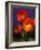 USA, Washington State, Poppies on Display-Terry Eggers-Framed Photographic Print