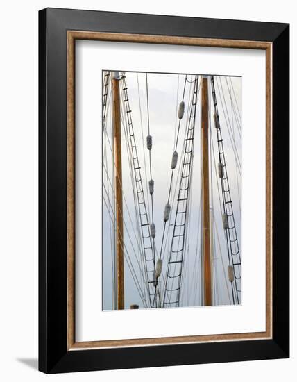 USA, Washington State, Port Townsend. Rigging on a Wooden Schooner-Kevin Oke-Framed Photographic Print