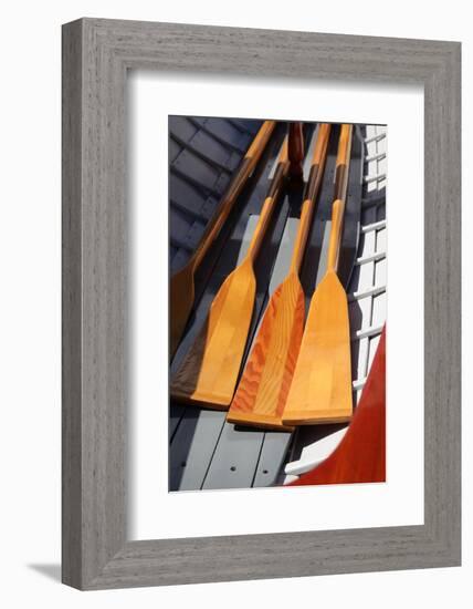 USA, Washington State, Port Townsend, Wooden Boat Festival.-Savanah Stewart-Framed Photographic Print