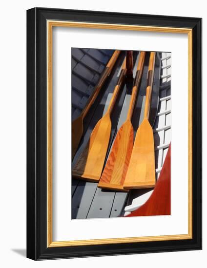 USA, Washington State, Port Townsend, Wooden Boat Festival.-Savanah Stewart-Framed Photographic Print