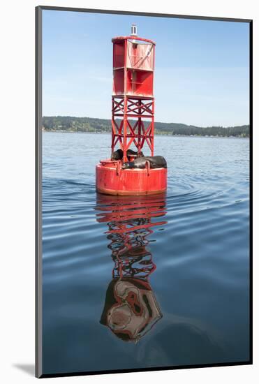 USA, Washington State, Puget Sound. Dali-esque reflection, channel marker with California Sea Lions-Trish Drury-Mounted Photographic Print