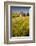 USA, Washington State, Red Barn in Field of Harvest Wheat-Terry Eggers-Framed Photographic Print