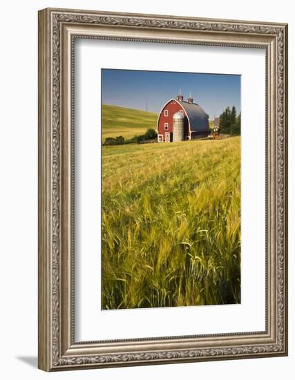 USA, Washington State, Red Barn in Field of Harvest Wheat-Terry Eggers-Framed Photographic Print