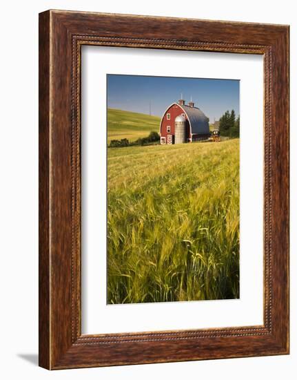 USA, Washington State, Red Barn in Field of Harvest Wheat-Terry Eggers-Framed Photographic Print