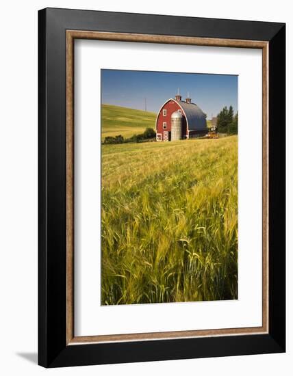 USA, Washington State, Red Barn in Field of Harvest Wheat-Terry Eggers-Framed Photographic Print