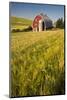 USA, Washington State, Red Barn in Field of Harvest Wheat-Terry Eggers-Mounted Photographic Print