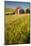 USA, Washington State, Red Barn in Field of Harvest Wheat-Terry Eggers-Mounted Photographic Print