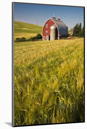 USA, Washington State, Red Barn in Field of Harvest Wheat-Terry Eggers-Mounted Photographic Print