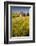 USA, Washington State, Red Barn in Field of Harvest Wheat-Terry Eggers-Framed Photographic Print