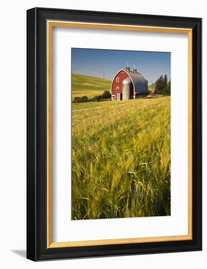 USA, Washington State, Red Barn in Field of Harvest Wheat-Terry Eggers-Framed Photographic Print