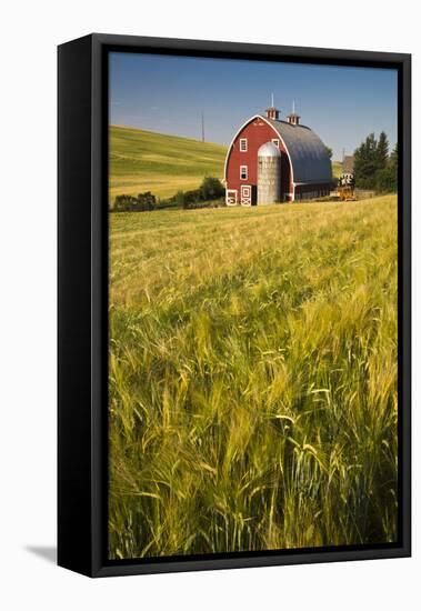 USA, Washington State, Red Barn in Field of Harvest Wheat-Terry Eggers-Framed Premier Image Canvas