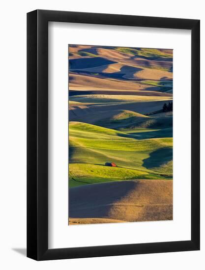 USA, Washington State, Red Barn in Fields of Spring and Winter Wheat-Terry Eggers-Framed Photographic Print