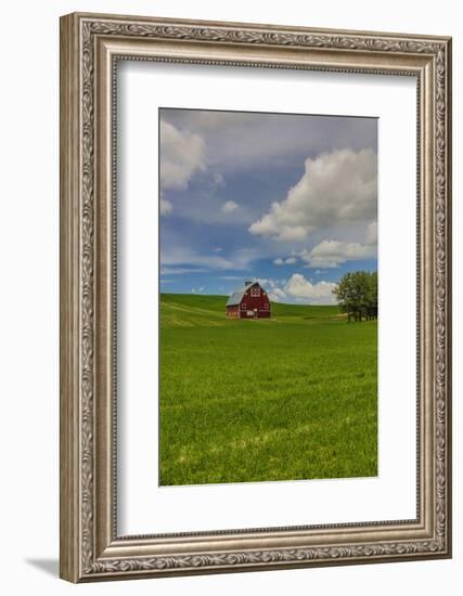 USA, Washington State, Red Barn in Spring-Terry Eggers-Framed Photographic Print