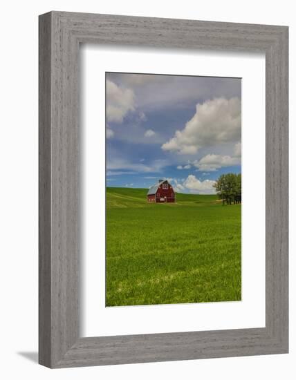 USA, Washington State, Red Barn in Spring-Terry Eggers-Framed Photographic Print