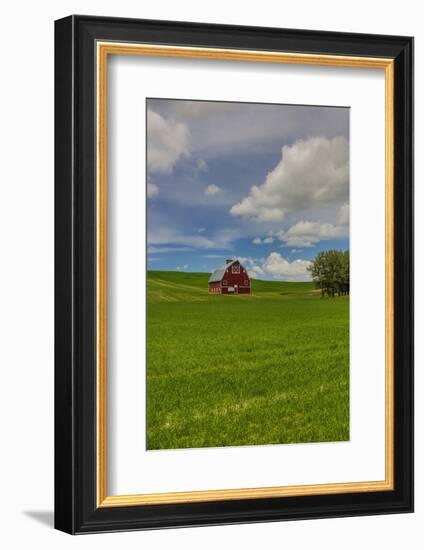 USA, Washington State, Red Barn in Spring-Terry Eggers-Framed Photographic Print