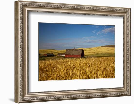 USA, Washington State. Red Barn Surrounded by Ripe Wheat-Terry Eggers-Framed Photographic Print