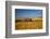 USA, Washington State. Red Barn Surrounded by Ripe Wheat-Terry Eggers-Framed Photographic Print