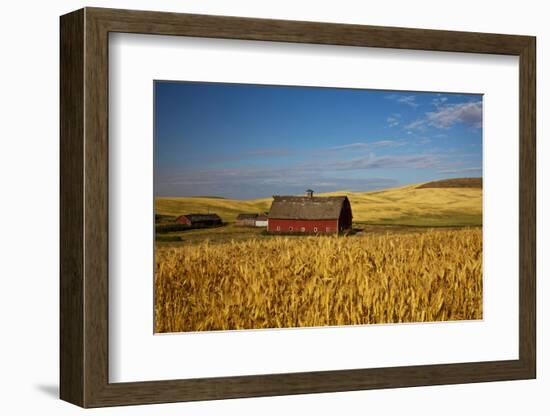 USA, Washington State. Red Barn Surrounded by Ripe Wheat-Terry Eggers-Framed Photographic Print