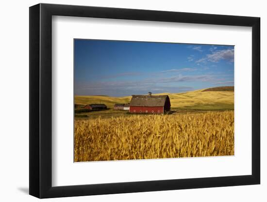 USA, Washington State. Red Barn Surrounded by Ripe Wheat-Terry Eggers-Framed Photographic Print