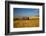 USA, Washington State. Red Barn Surrounded by Ripe Wheat-Terry Eggers-Framed Photographic Print