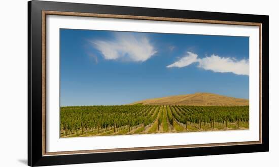 USA, Washington State, Red Mountain. Quintessence vineyard with Red Mountain in the background.-Richard Duval-Framed Photographic Print